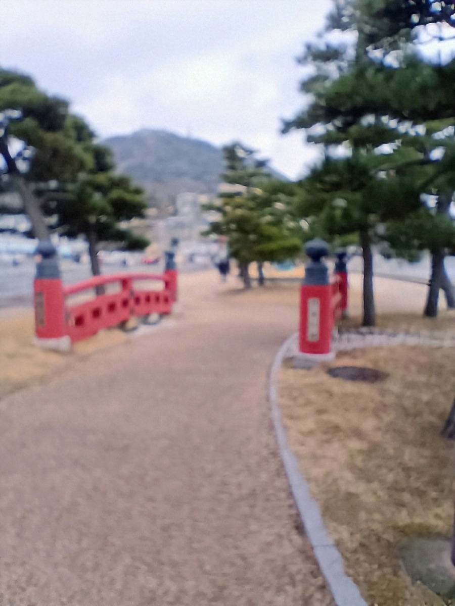 IMG_20250216_120018537_AE~3