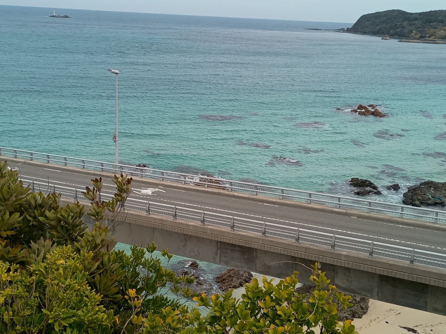 IMG_20250314_091354959