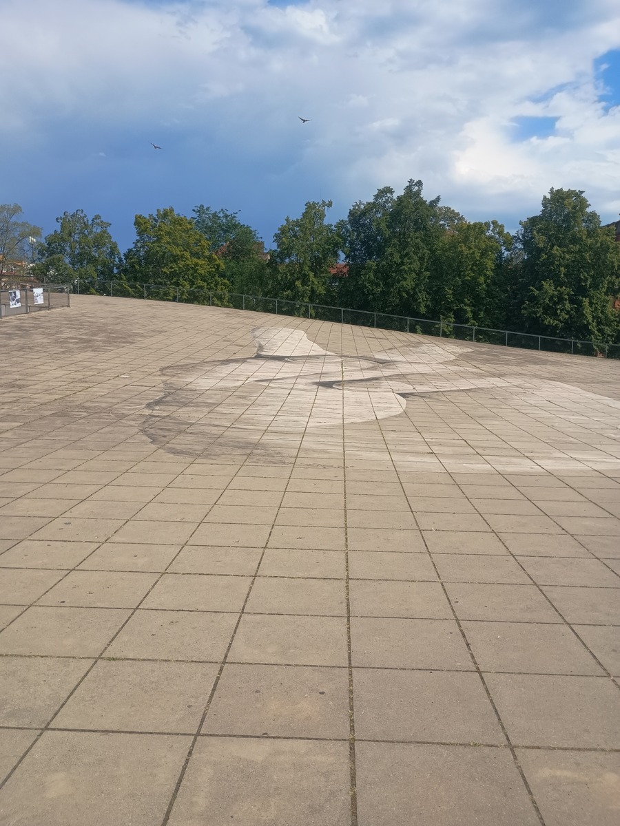 IMG_20250813_143513073