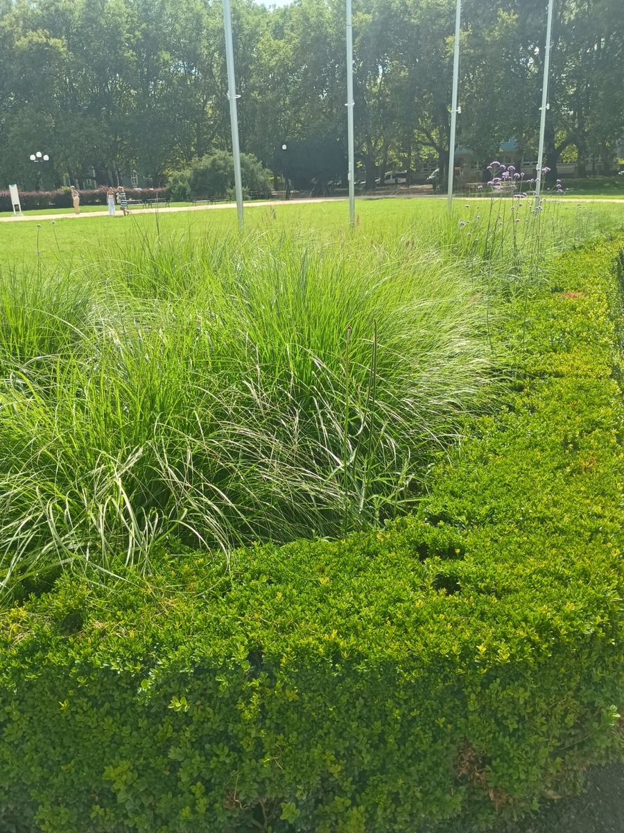 IMG_20250813_141911490_HDR