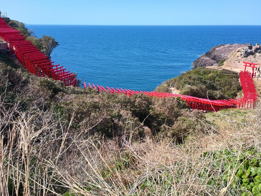 IMG_20250314_140501414_HDR