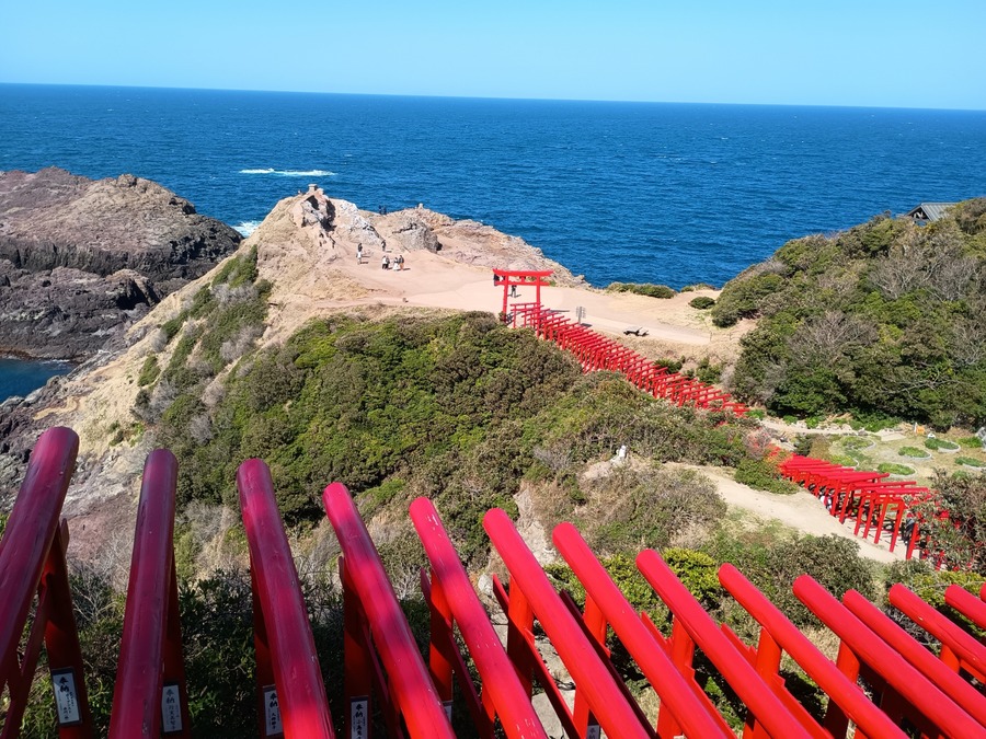 IMG_20250314_141634932