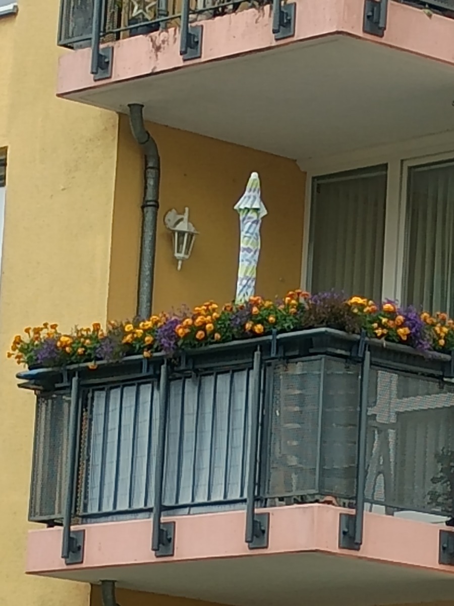 IMG_20250808_083022881