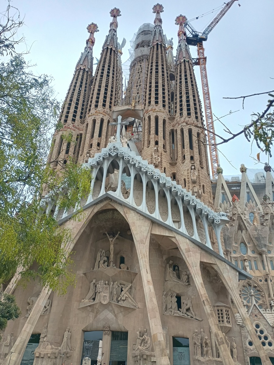 IMG_20251005_095800622_HDR