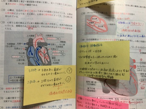 E6A8B207-2A33-4D04-8453-52C620A2F36E