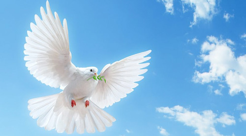 2584aaea9b9e3567dcbb7b7bb54a8aed