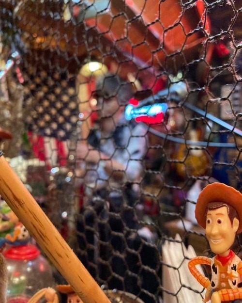 F85CA8FF-F309-4BA7-A8E1-ADFDFAB1800A