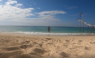 IMG_2661
