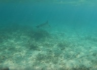 IMG_2659