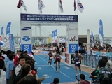 20081026m