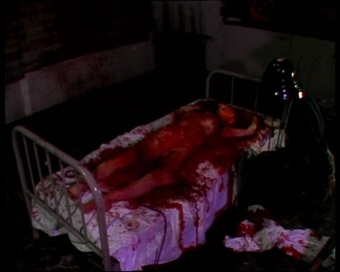 タイトル 10002323