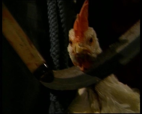 タイトル 10001610