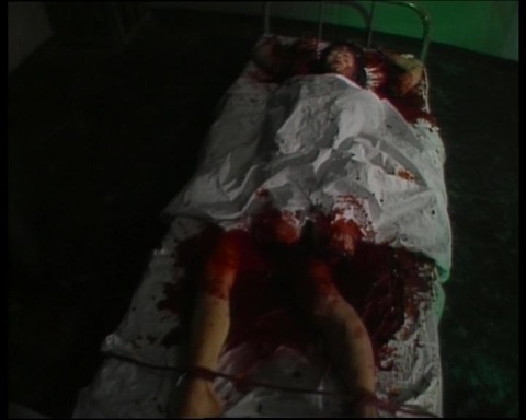 タイトル 10002079