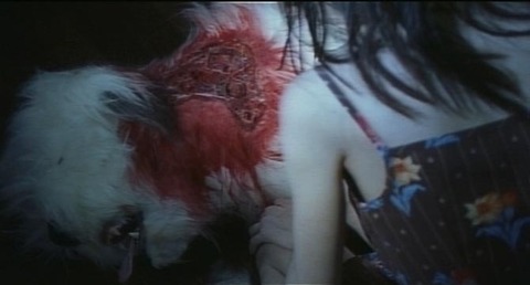 タイトル 10000001