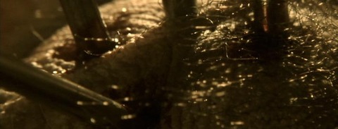 タイトル 60000163