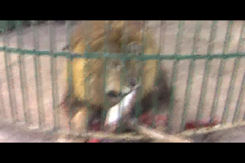Movie_00_(タイトル 2)0000287