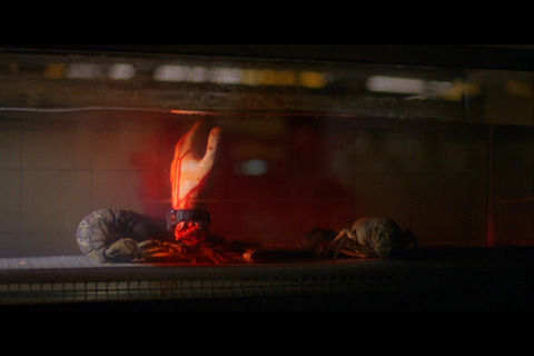 Movie_00_(タイトル 4)0000013