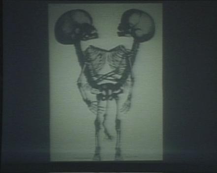 タイトル 10000099