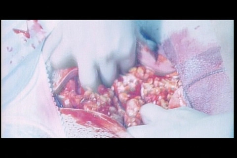 Movie_00_(タイトル 4)0000450