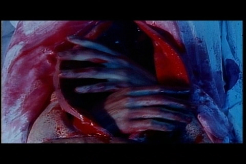 Movie_00_(タイトル 4)0000575