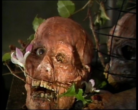 タイトル 10002495