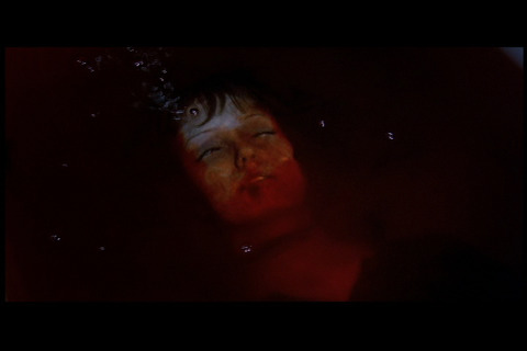 タイトル 10000117