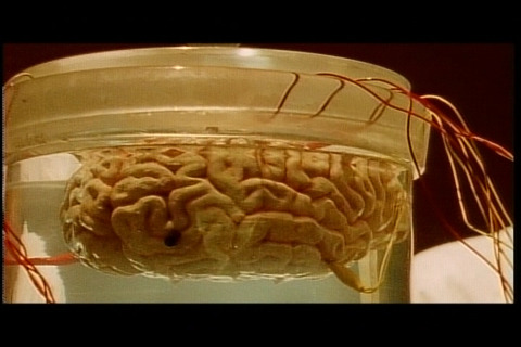 Movie_00_(タイトル 4)0000204