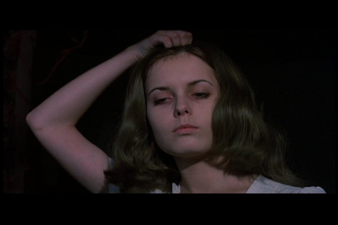 タイトル 10000238