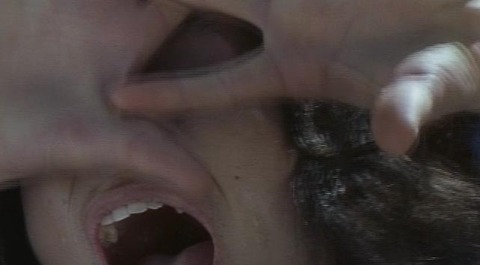 タイトル 10000028