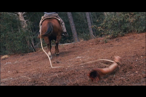 Movie_00_(タイトル 1)0000207