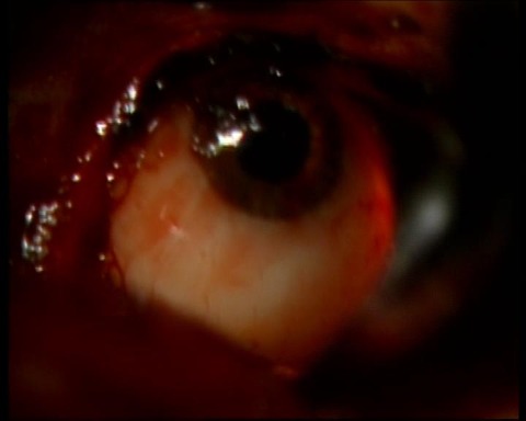 タイトル 10002400