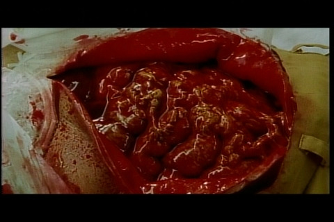 Movie_00_(タイトル 4)0000374