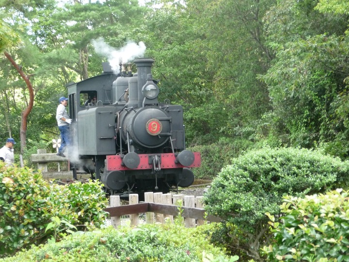 a31
