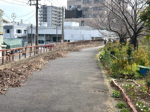 S__56811550