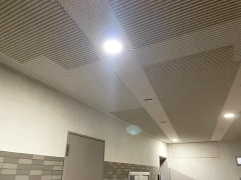 S__40730646_0