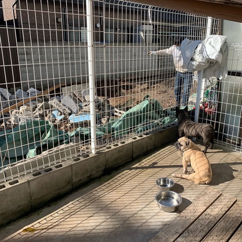 F030D1AE-3855-4195-A791-6519619DE88D