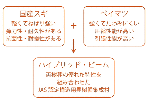名称未設定2