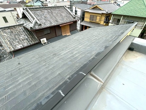 S__55779414_0