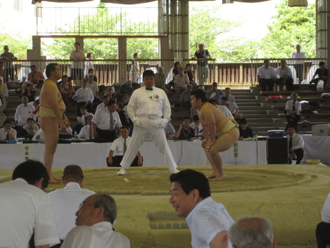相撲大会 (3)
