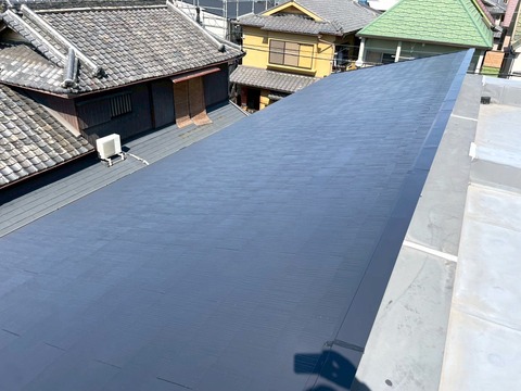 S__55779416_0
