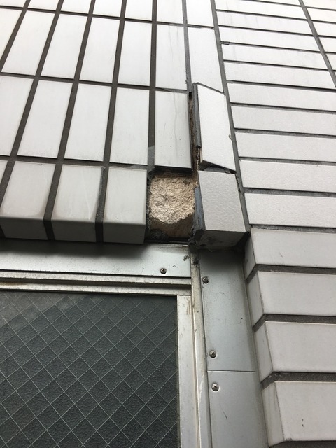 ギャグナービル_180625_0002