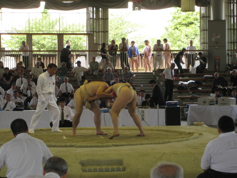相撲大会 (1)