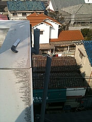 写真 (1)