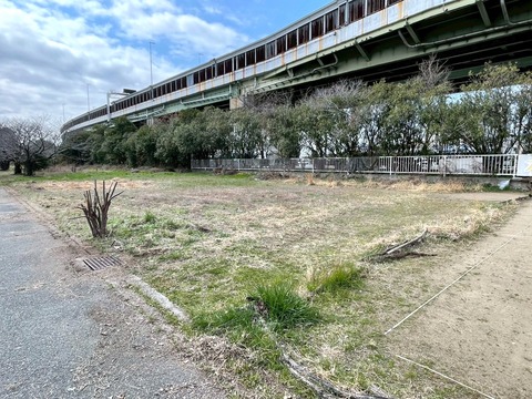 S__56811542_0
