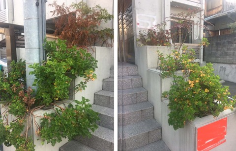 アグレアーブル植込み改修工事_190222_0003修正