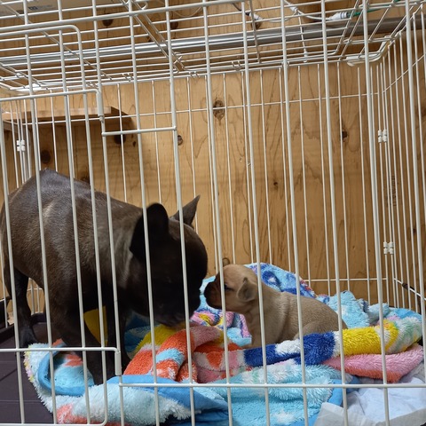 IMG_20240117_121129_818