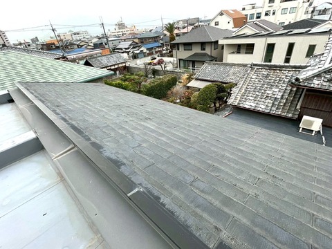 S__55779418_0