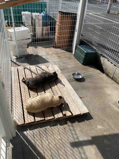 80634BD4-7B1F-41E0-AD36-68FB35B88A46