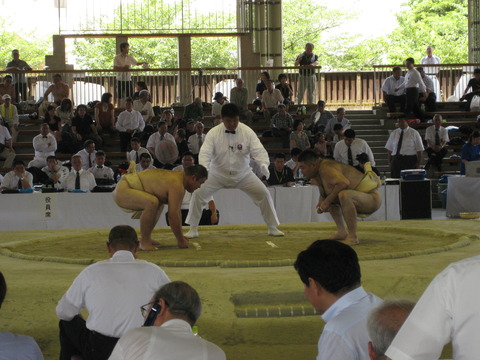 相撲大会