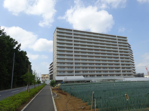DSC03042